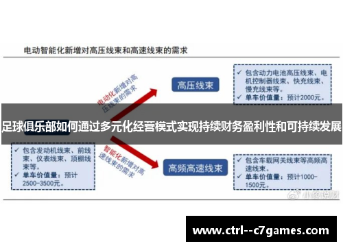 足球俱乐部如何通过多元化经营模式实现持续财务盈利性和可持续发展